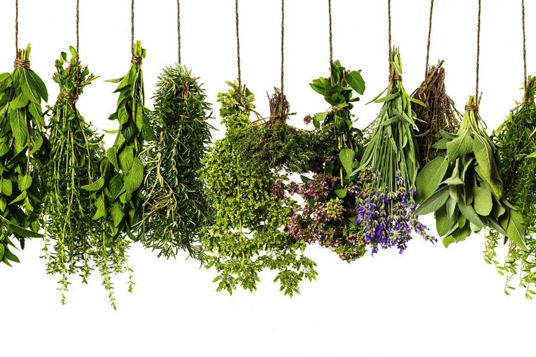 extracto de hierbas tropicales en Eroboost